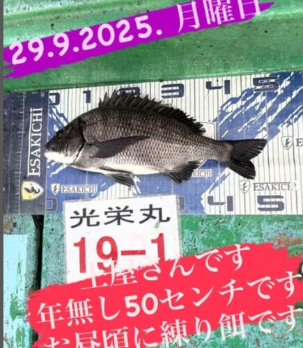 タイトルなし