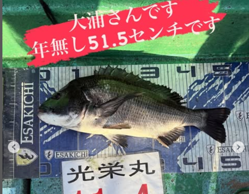 タイト