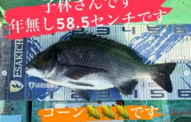 タイトルし