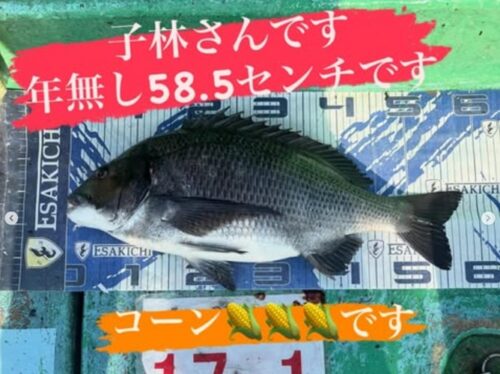 タイトルし