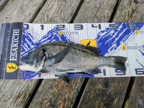 IMG_20250923_1641572