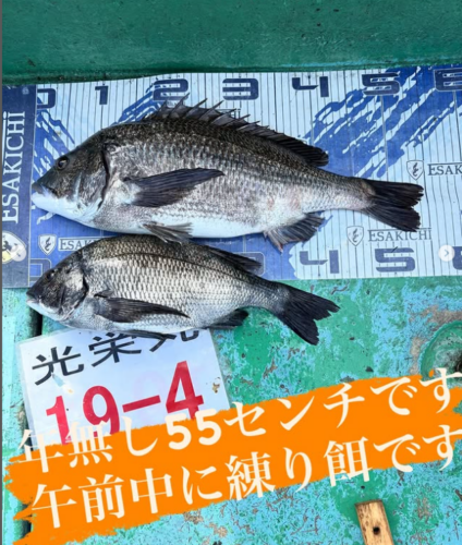 スクリーンショット (607)