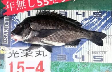 タトし
