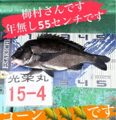 タトし