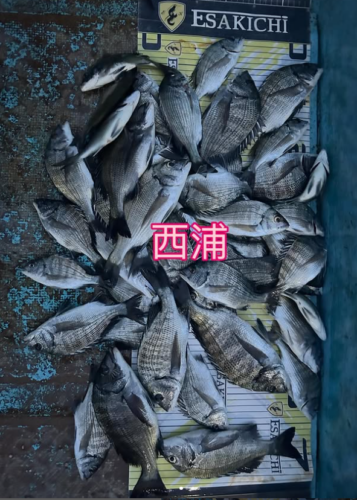 スクリーンショット (601)