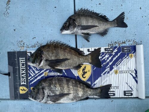 o1080081015678184203