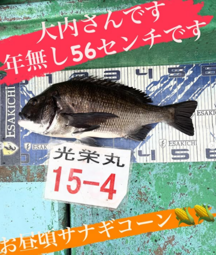 スクリーンショット (619)