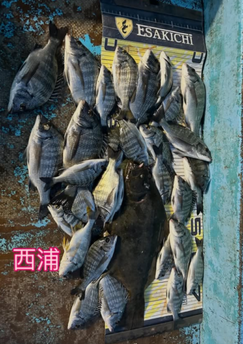 スクリーンショット (701)