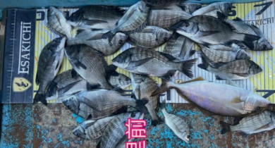 タイトルなし