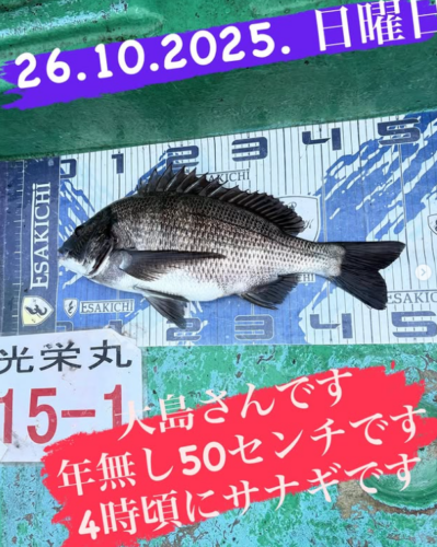 スクリーンショット (687)