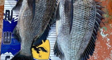 o1080143815705183023