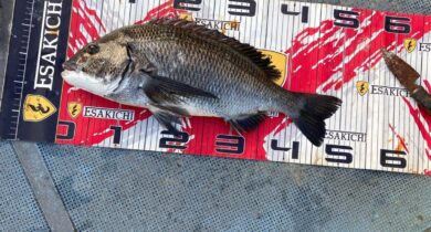 o1080144015704280587