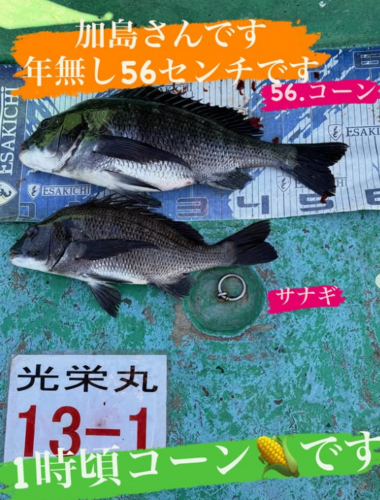 スクリーンショット (732)