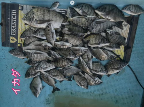 スクリーンショット (748)