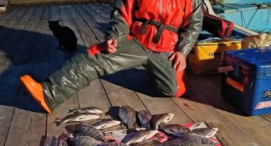 576094854_1339744391285258_8470547163797990714_n