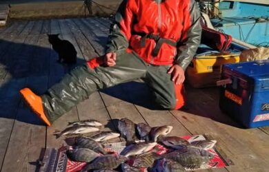 576094854_1339744391285258_8470547163797990714_n