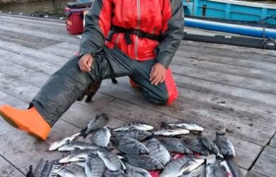 581932415_1345805977345766_1103576435286071310_n