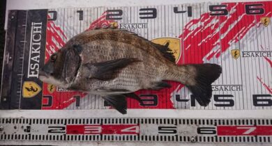 582347727_25303569142657455_7481667922248400316_n