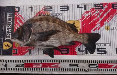 582347727_25303569142657455_7481667922248400316_n