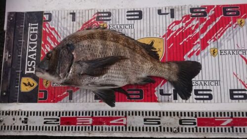 582347727_25303569142657455_7481667922248400316_n