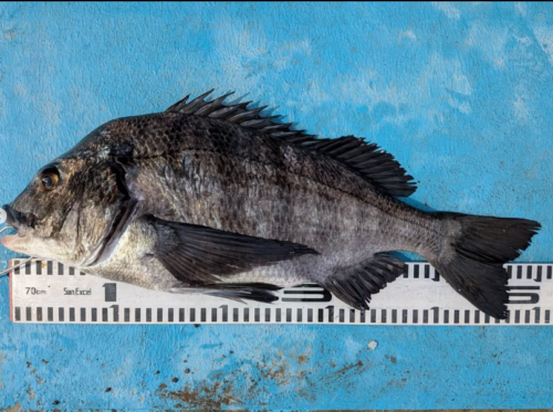 スクリーンショット (745)