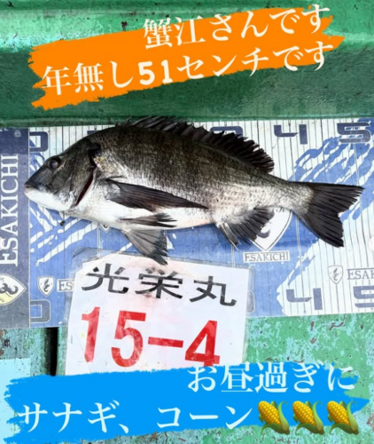 スクリーンショット (740)