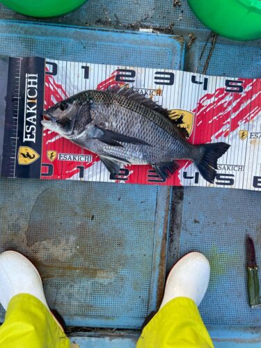 o1080144015724556173