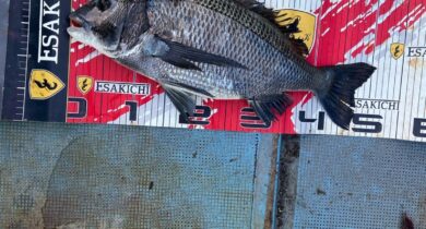 o1080144015724556173