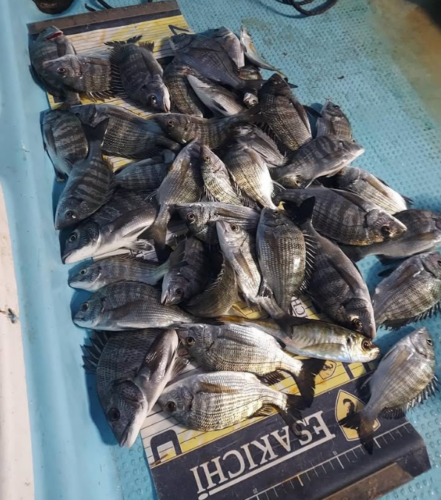 スクリーンショット (756)