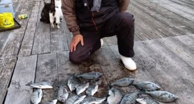 595079922_1366271528632544_6914896166260940557_n