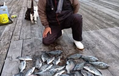 595079922_1366271528632544_6914896166260940557_n