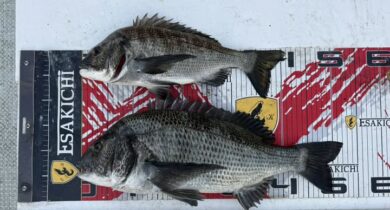 597304018_25488790247468676_7756421280300791663_n