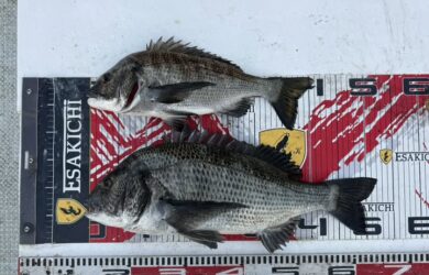 597304018_25488790247468676_7756421280300791663_n