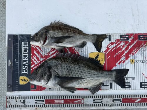 597304018_25488790247468676_7756421280300791663_n