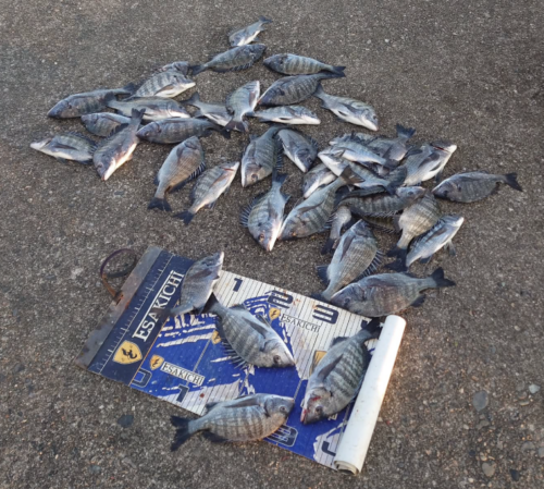 スクリーンショット (765)