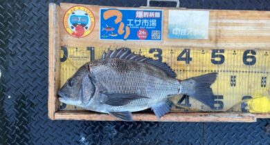 o1080081015730740088