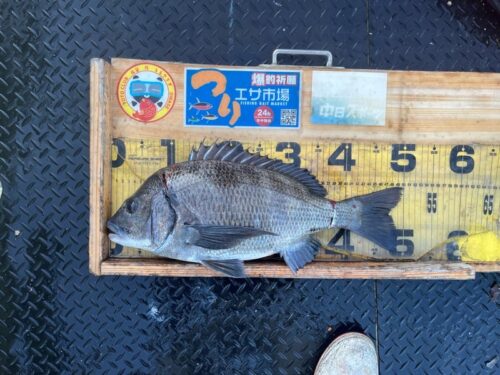 o1080081015730740088