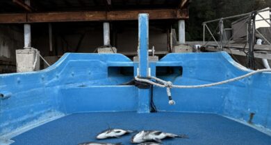 1月5日-西様-1152x1536