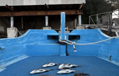 1月5日-西様-1152x1536