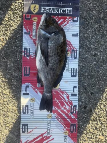 614142795_122115249615094966_3983611098057439813_n