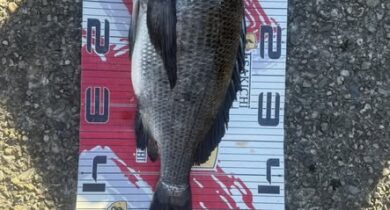 614142795_122115249615094966_3983611098057439813_n