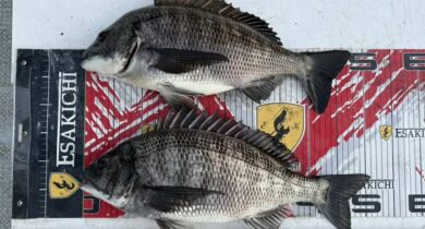 615145018_25758592763821755_930080892205879407_n