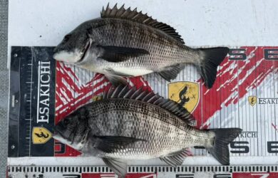 615145018_25758592763821755_930080892205879407_n