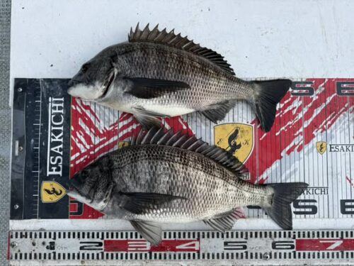 615145018_25758592763821755_930080892205879407_n