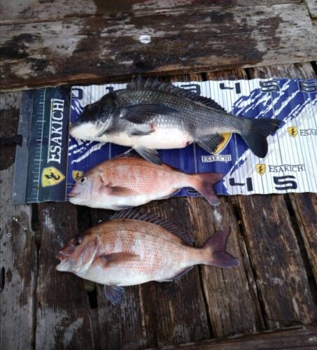 c6df0290ba9bca8e5da7a1cda0beda69