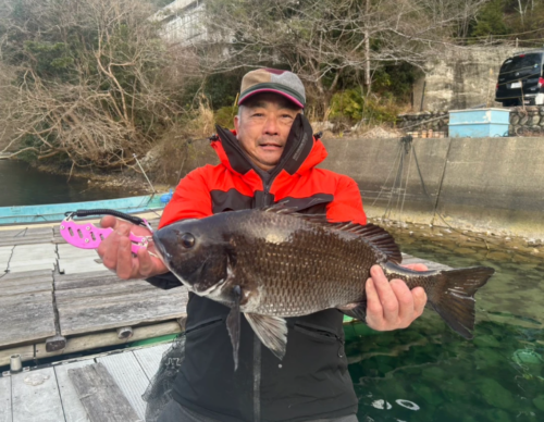 スクリーンショット (802)