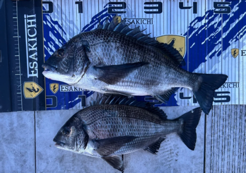 スクリーンショット 2026-02-19 212853