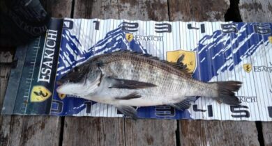 9a7f11b0b308dfa1e6bf63eaade94ab8