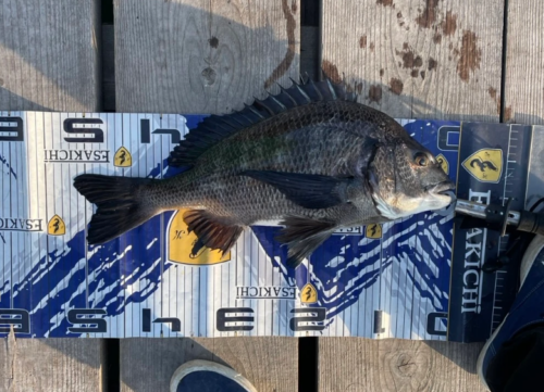 スクリーンショット (808)