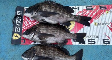 o1024102415749097104